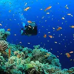 Mar Azul 3*