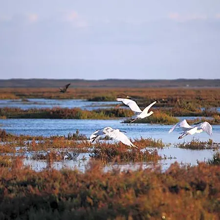 Mar Azul Kompleks wypoczynkowy