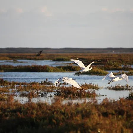 Mar Azul 3* לאגוּ‏ש