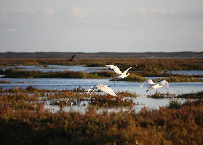 마르 아술 3* 라고스